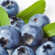 【幸美生技】冷凍莓果系列-栽種藍莓