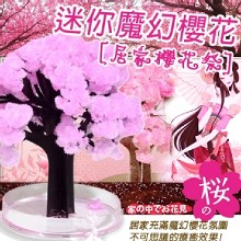 [大合購] 魔幻櫻花成長樹 ♗ 賞櫻花不必看季節~ 自己種！