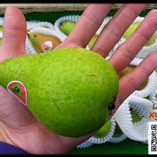 [大合購] 香水梨 ☬ 脆甜多汁十分爽口 無需削皮可連皮食用