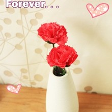 [大合購] 迎光生技 ❣ 讓康乃馨為你讚頌母親的偉大