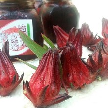 [大合購] 蜜洛神花醬 ✿ 老闆家自行種植 夏日消暑沖泡飲品