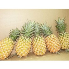 [大合購] 台鳳百年品牌金鑽鳳梨 ஐ 現採直送 安心健康又好吃