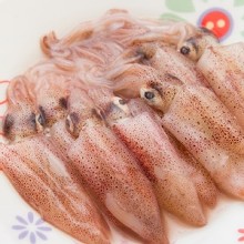 [大合購] 魏家小卷 ❖ 自家漁船 自產自銷 新鮮漁獲 直送到家