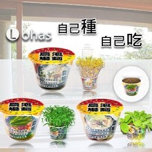 [大合購] 泡麵小農場 ✽ 自己種 自己吃