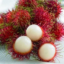 [大合購] 五甲木農產 ✿ 熱帶水果大集合