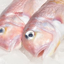 [大合購] 馬頭魚 ♘ 肉質細緻軟嫩 口感清甜鮮美 怎麼吃都好吃