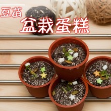 [大合購] 創意小巧盆栽蛋糕 ☸ 最療癒您的心～