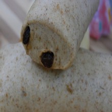 [大合購] 頂郁香饅頭 ◕ 迎新賀禮 一年一度迎新大回饋!
