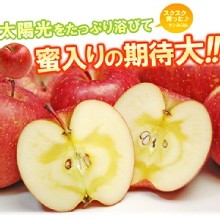 [大合購] 日本青森超人氣蜜蘋果 ◑ 又香又甜爽脆十足