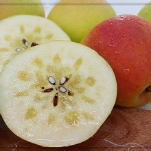 [大合購] 日本青森蜜蘋果 ❡ 香氣十足 送禮超有面子!
