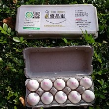 [大合購] 金大畜牧優品蛋 ◙ 豐富DHA 營養大力推廣中！