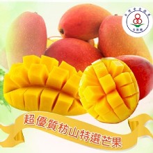 [大合購] 鮮採味 ♮ 吉園圃認證在欉紅屏東枋山愛文芒果