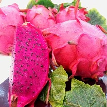 [大合購] 鮮瑩紅龍果 ➲ 低熱量高纖維 促進腸胃蠕動