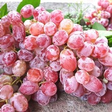 [大合購] 薄皮特甜紅無籽葡萄 ► 大人小孩都愛吃