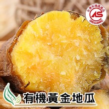 有機黃金地瓜