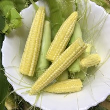 [大合購] 在地良品玉米筍 ❖ 鮮甜玉米筍無殘留最安心