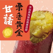 冰烤地瓜王- 栗子地瓜