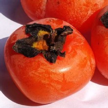[大合購] 台灣迷你紅柿 ❖ 香甜好吃，無澀味