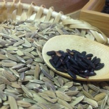 [大合購] 源天然池上米 ◎ 輕鬆照顧全家人的營養