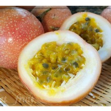 [大合購] 滿天星百香果、無籽甜臍橙 ❖ 吃過的都說讚！