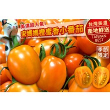 [大合購]高雄宋媽媽-橙蜜香小番茄✤皮薄肉Q 甜到爆!!