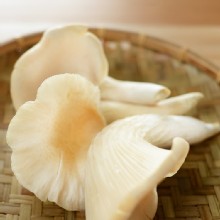 [大合購] 晁陽農場生鮮菇 ❖ 安心、無毒、天然好味道
