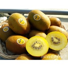 [大合購] 黃肉金圓頭奇異果 ❖ 甜蜜多汁超 juicy！