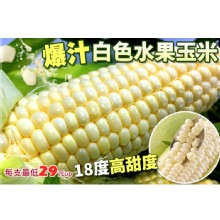 [大合購] 白色水果牛奶玉米 ✤ 18度甜度破表!!