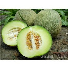 [大合購] 蜜鑽哈蜜瓜 ❖ 季節限定！