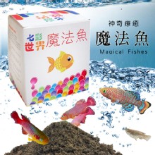 [大合購] 神奇療癒魔法魚 ✥ 卵生鱂魚 簡單易養殖！