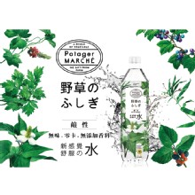 [大合購] 菠啾野草水 ❖ 全台第一支植物鹼性水！