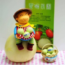 [大合購] 豐碩果園 ✿ 牛奶美濃香瓜 新鮮現採 香氣濃郁