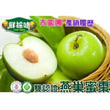 [大合購] 鮮採味 ❖ 產銷履歷 吉園圃雙認證燕巢蜜棗