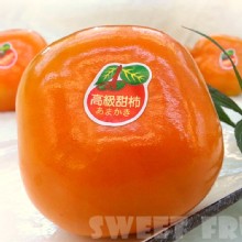 [大合購] 鮮瑩嚴選脆甜甜柿 ❖ 果肉甘甜多汁、脆爽口感