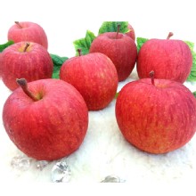 日本青森サンふじ蜜蘋果