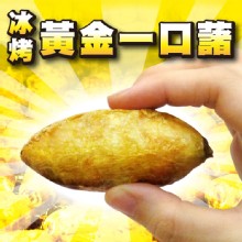 [大合購] 金山藷童瑤❖ 冰烤黃金一口藷，小巧好入口！