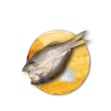 【魚之達人】頂級鮮撈午仔魚一夜干