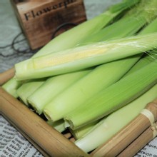 [大合購] 豐碩果園 ❖ 新鮮現採 帶殼新鮮玉米筍