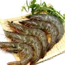 【金園排骨】天龍-金鑽蝦