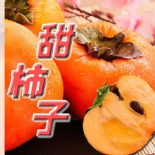[大合購] 小農鮮果 場地直送❖ 苗栗高山甜柿 香脆甜！