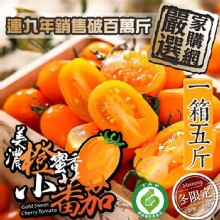 [大合購] 高雄美濃橙蜜香小蕃茄 ❁ 冬季地表最強的水果