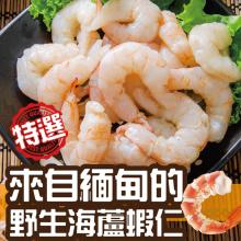 [大合購] 野生海蘆蝦仁 ❖ 數量稀有，蝦肉緊實Q彈脆口