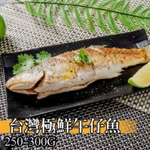 [大合購] 鮮綠生活 ❖ 台灣極鮮午仔魚+鱸魚片+虱目魚肚