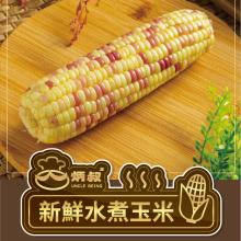[大合購] 炳叔烤玉米 l 濃郁醬汁包裹著彩虹雙色玉米