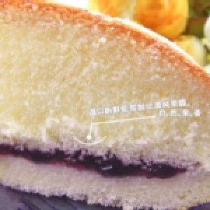 波呢歐MINI雪藏派－經典藍莓