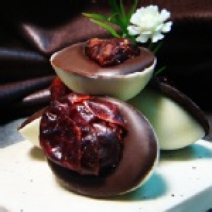 果乾巧克力-蔓越莓口味/50g±10%
