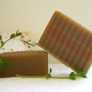 夏日爽膚系列 ~ 綠薄荷酷涼潔淨調理皂 (中油肌&問題肌膚適用)