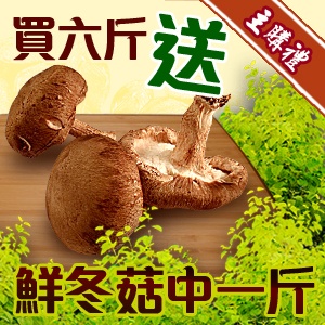 黑早鮮冬菇(中) 600g