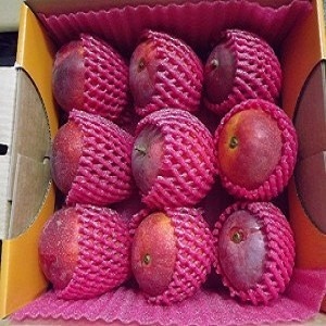 村長的愛文芒果《5台斤9粒》 特價：$450