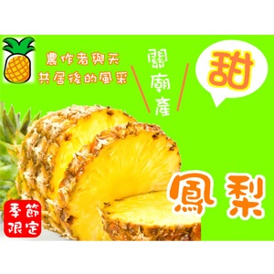 ihergo 產地直送，關廟『17號』鳳梨